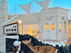 -Blue Concept Cafe&Farm·關於藍
