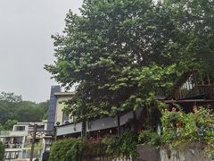 -杭州西湖风景名胜区-满觉陇四眼井