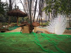 -陕西自然博物馆