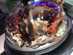 -乔哥铭洋海鲜自助(皇城恒隆广场店)