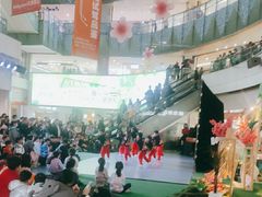 -鹏欣水游城