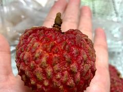 -果多美(纪家庙店)