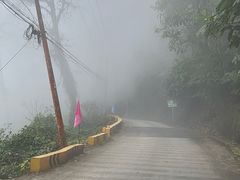 -云南屏边大围山国家公园