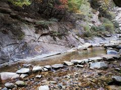 -少华山国家森林公园