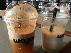 -Wagas沃歌斯(富力广场店)