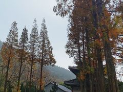-青岛崂山太清宫