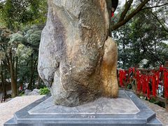 -广州市帽峰山景区