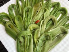 贡菜-老码头火锅(骡马市店)