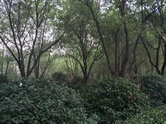-唐城墙遗址公园