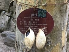 -北京上方山国家森林公园