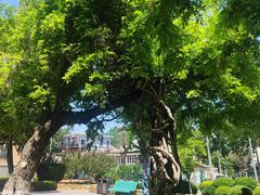 -大连植物园