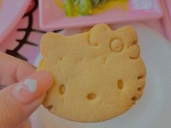 -安吉Hello Kitty乐园