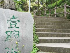 -南山植物园