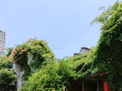 -鲤院·新中式美学·庭院餐厅(夫子庙店)