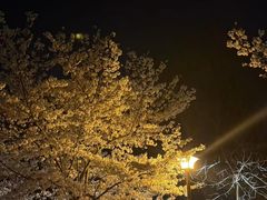 -大汉足道·影院式足疗按摩SPA(友谊广场店)