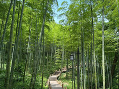 -东明山森林公园