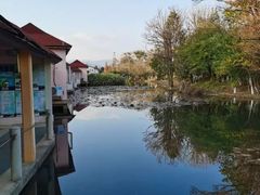 -映月潭温泉