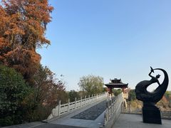 -东湖落雁景区