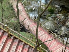-牛背梁国家森林公园