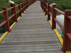 -北海金海湾红树林生态旅游区