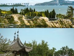 -大湾区中央湿地公园