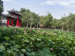 -四川大学(望江校区)