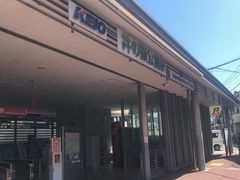 -井之头恩赐公园