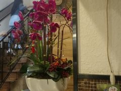 -斯利美(禾祥西路店)