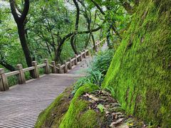 -灵岩山风景区