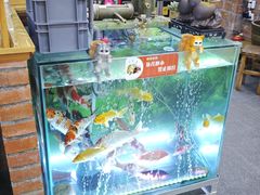 -老姐石板烧烤+铜炭火锅(总店)
