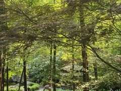 -青城山