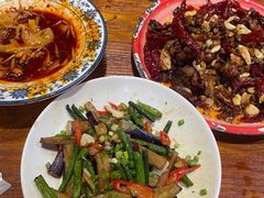 -柴窝堡22号辣子鸡·传承新疆菜