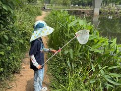 -白鹭湾湿地公园