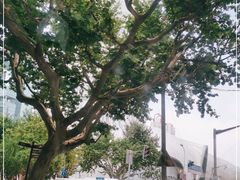 -上海尚嘉中心