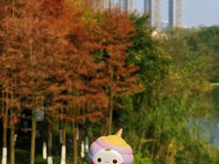 -重庆彩云湖湿地公园