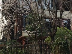 -晓友烧麦(光华村店)