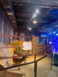 -酷嗒动物文化乐园(cutezoo西溪乐天城店)