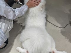 -瑞虹新天地月亮湾