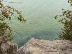 -贡湖湾湿地公园