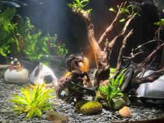 -太平洋海底世界