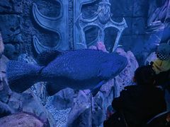 -波塞冬旅游度假区