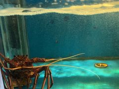 -太平洋PACIFIC SPA•奢睿水疗(万象城店)