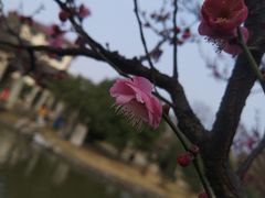 -峙山公园