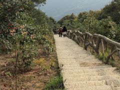 -梧桐山风景名胜区