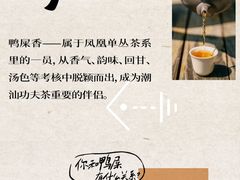 -奈雪的茶(苏宁广场店)