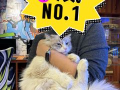 -老炮儿轰趴团建KTV桌游棋牌主题馆(五道口店（底商店))