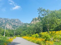 -大连天门山国家森林公园