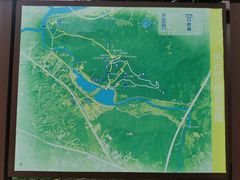 -风云岭森林公园