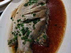 -老人和饭店(淮海中路店)