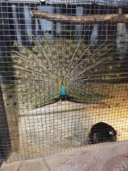 -酷嗒动物文化乐园(cutezoo西溪乐天城店)